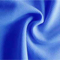 100% polyester pearl net fabric