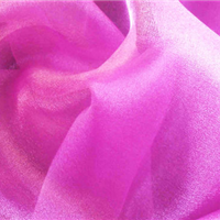 Organza Fabric