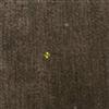corduroy  fabric