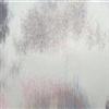 printed fabric