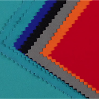 waterproof and windproof fabric 100% nylon 228T dull taslan +coating