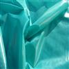 Transparent Polyester Taffeta Cired and Waterproof