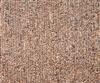 Buy Carpet