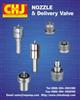 Nozzle&Delivery Valve