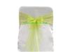 ORGANZA SASH