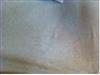 Polyester Suede Fabric