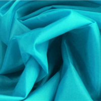 nylon plain weave fabric