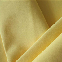 nylon taslan fabric