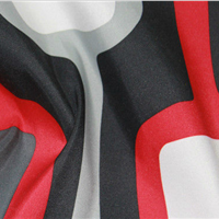 printed brushed fabric/microfiber brush polyester fabric/polyester brushed fabric