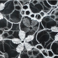 embroidery lace fabric