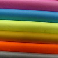 20D nylon taffeta fabric for garment/down proof jacket fabric