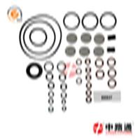 high pressure pump rebuild kit 800637 Fuel Pump Repair Kit