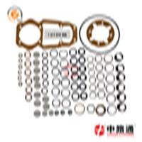 automotive fuel injection system kit 1 417 010 008 aftermarket EFI kits