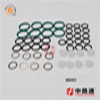 ford fuel system kit 800620 bosch pump kit