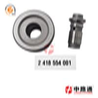 Delivery Valve Diesel Engine 2 418 554 001 LYG93 Fuel Delivery Valves