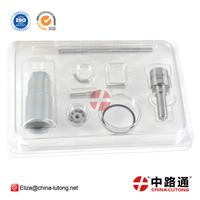 lucas cav pump seal kit 095000-5550 1hz rebuild kit