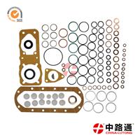 stanadyne diesel pump repair kit 2 417 010 002 4m40 injector pump seal replacement