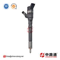 Bosch Diesel Injector 0 445 110 064 bosch fuel injector repair kit