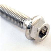 Titanium Hex Bolts & Screws