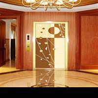 TRACTION HOME LIFT