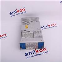 135813-01 Bently Nevada I/O Module