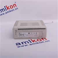 ABB 3BSE022366R1 CI801 Profibus DP