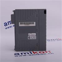 YOKOGAWA RS81*B *  Email: sales3@amikon.cn