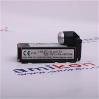 EPRO CON021/916-160 Proximitor