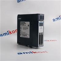 Ge Fanuc IS200TREAH2AED Module