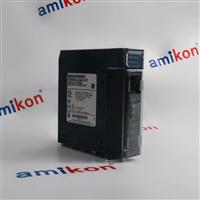 GE Speedtronic Mark VI IS200TRPGH1B TRIP PRIM Terminal board