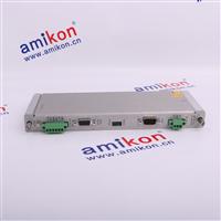 330102-00-79-10-02-00 Bentley probe