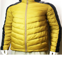 Winter Men′s Fashion Padding Keep Warm Sports Jacket Filling Jacket Fake Down Jacket