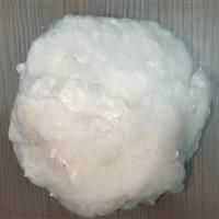 Polyester staple fiber