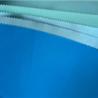 P/T 75D*75D 190T,RECYCLE PU/RESIN/SILVER/UV/WR/FR