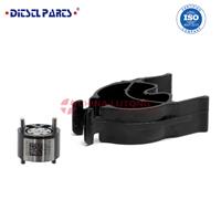 9308-621C Injector valve Common Rail for Diesel Injector
