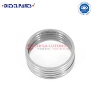 Armature Lift Shim F00RJ00118 Valve Spring Shim F00RJ00824