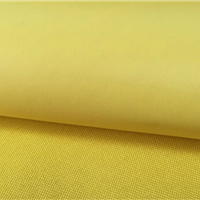 Factory Price 100% Polyester 300D Minimatt Fabric for Work Wear School Wear Recycled