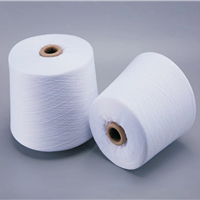 Color Spun Yarn (T/R, Wool, Silk, Core-spun yarns)