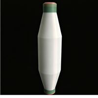 POLYERSTER YARN FDY-20D-1F-WH